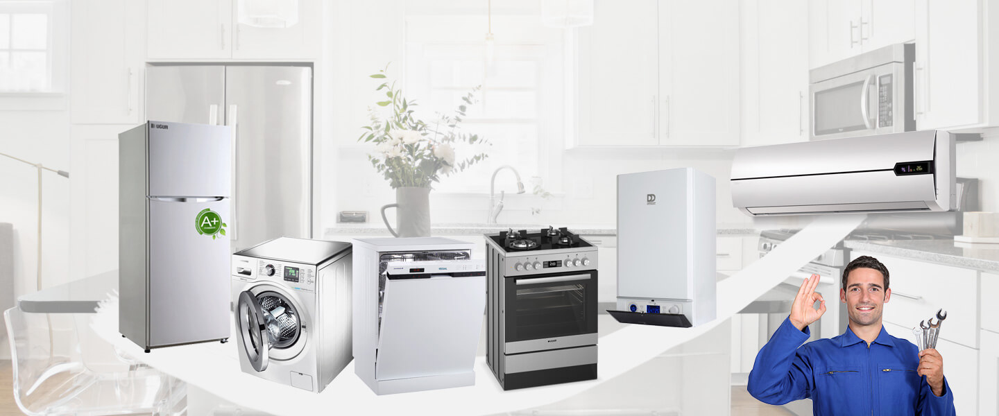 Vize Dominox Servisi